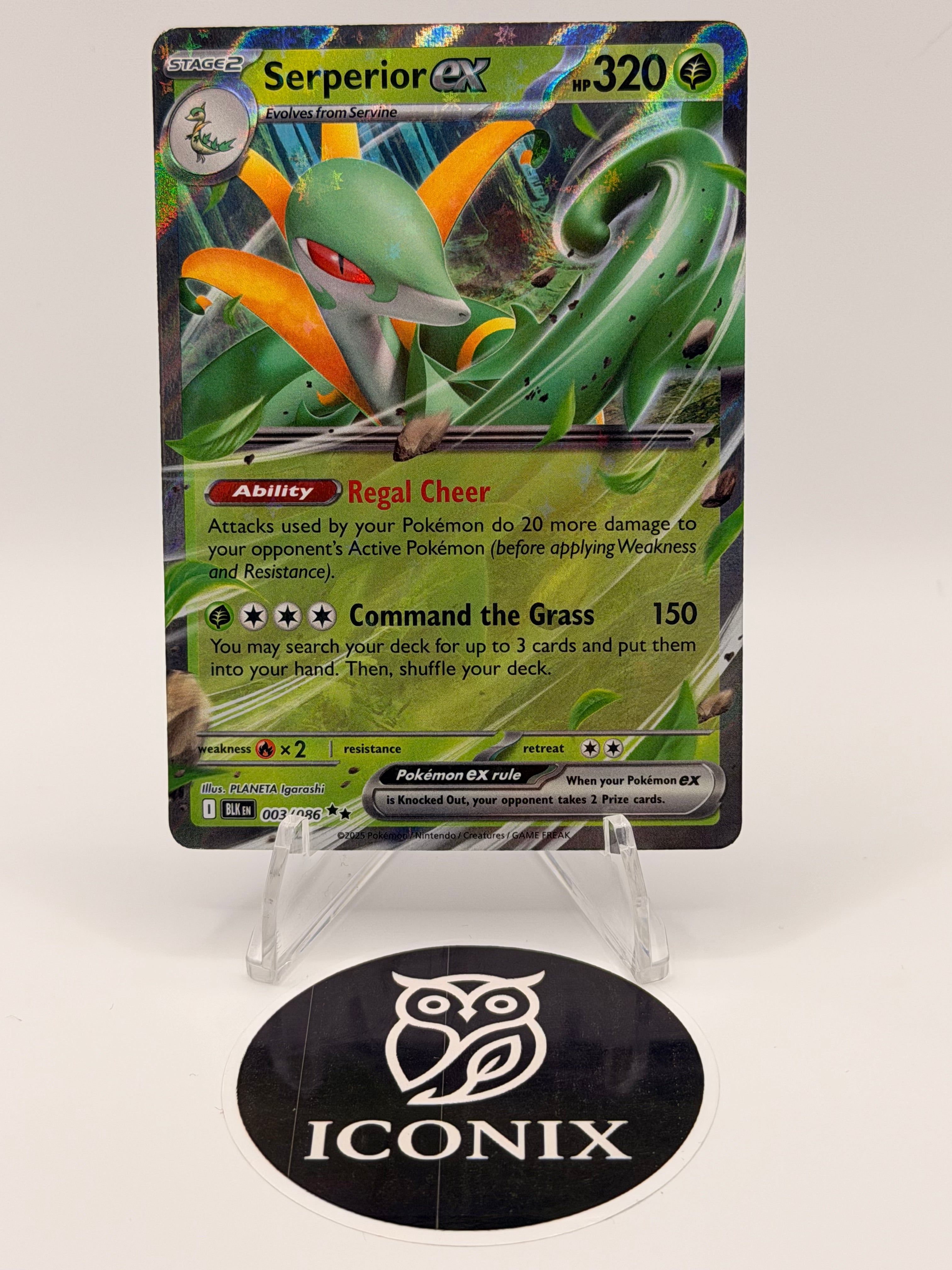 2025 Pokemon Serperior ex 003/086 Black Bolt Double Rare Holo NM