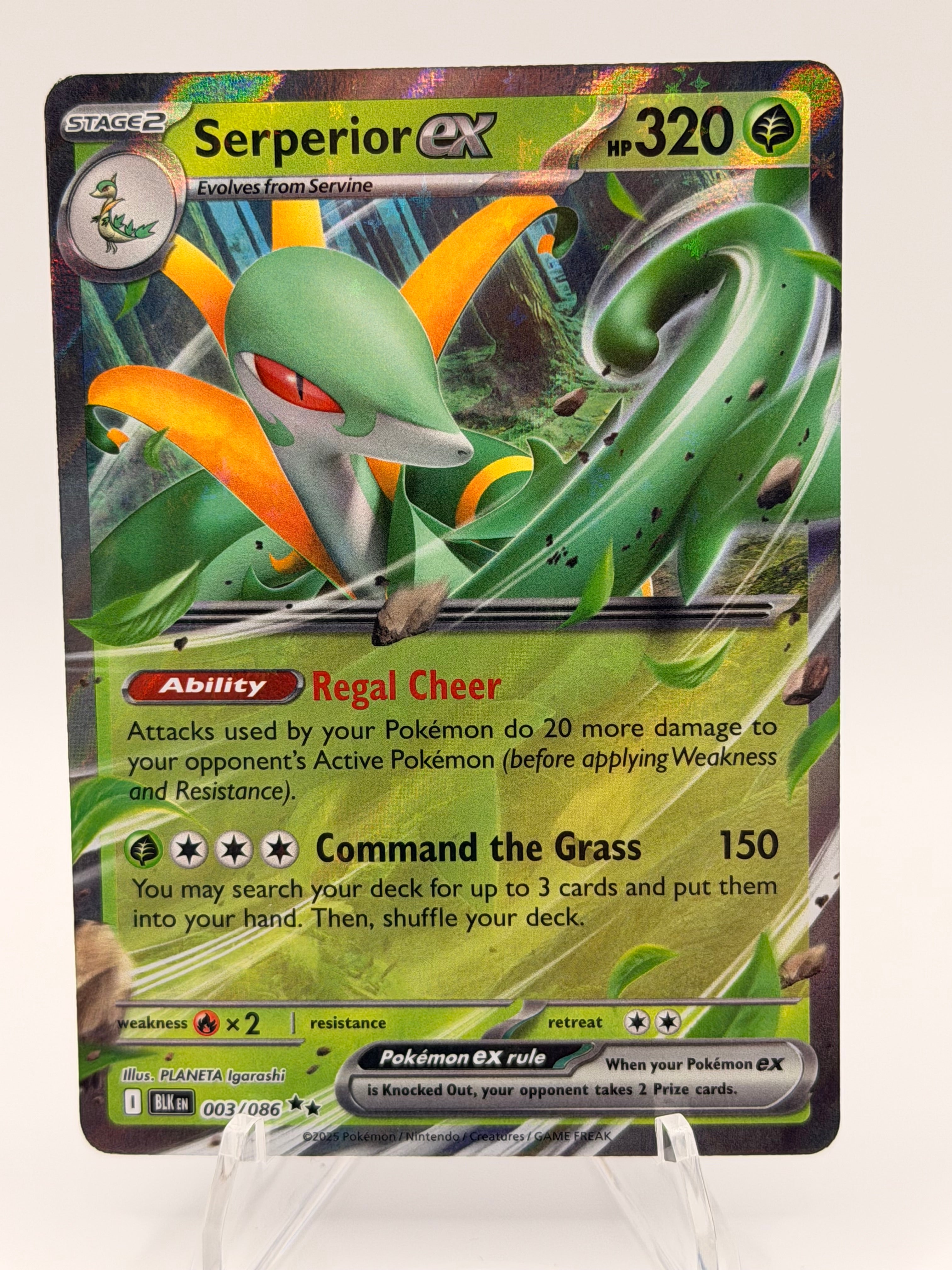2025 Pokemon Serperior ex 003/086 Black Bolt Double Rare Holo NM