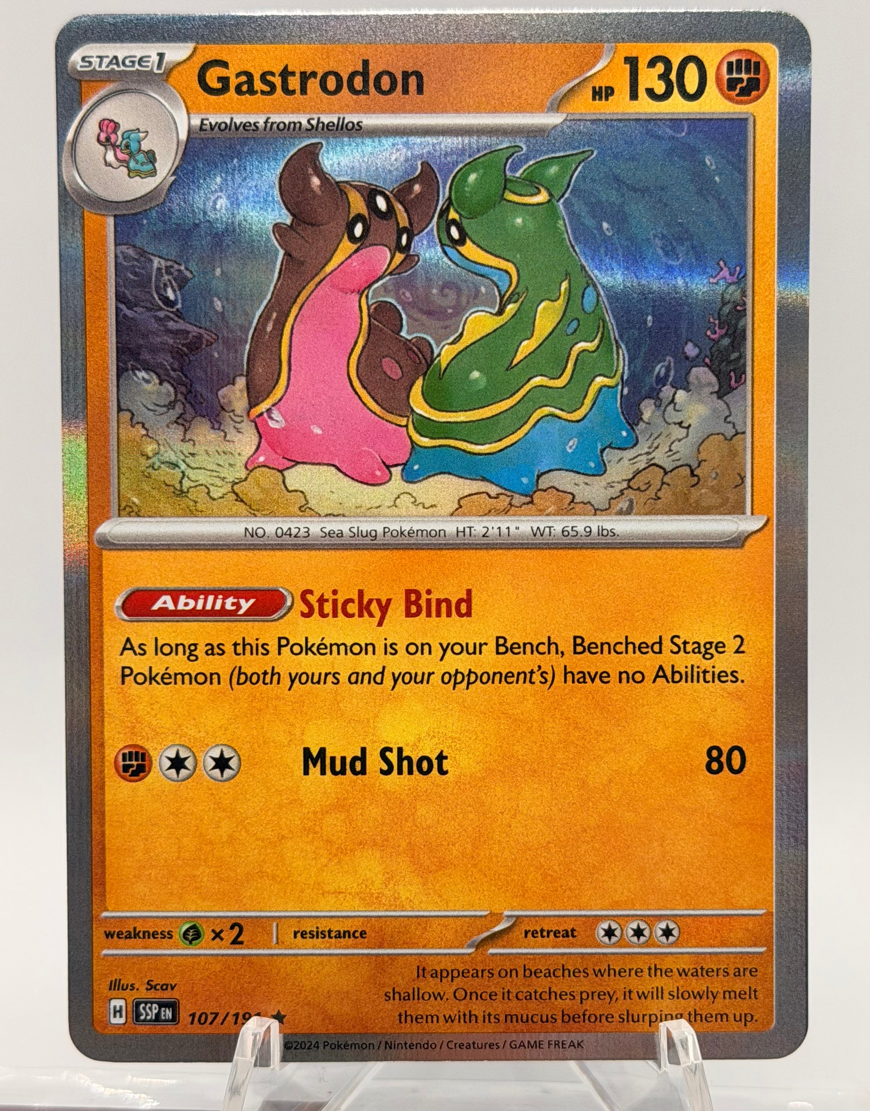 2024 Pokemon Gastrodon Holo 107/191