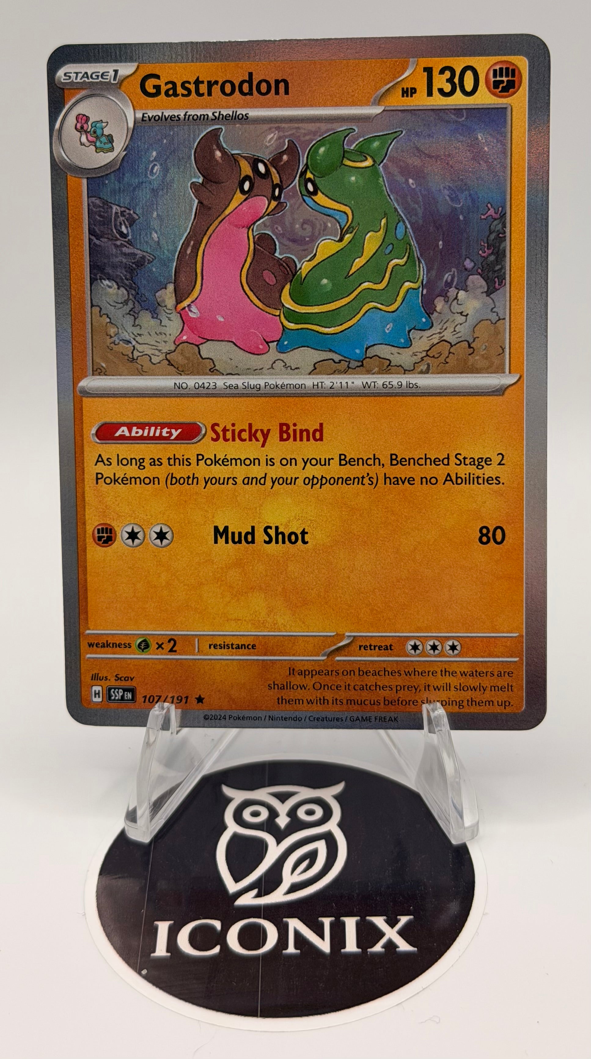 2024 Pokemon Gastrodon Holo 107/191